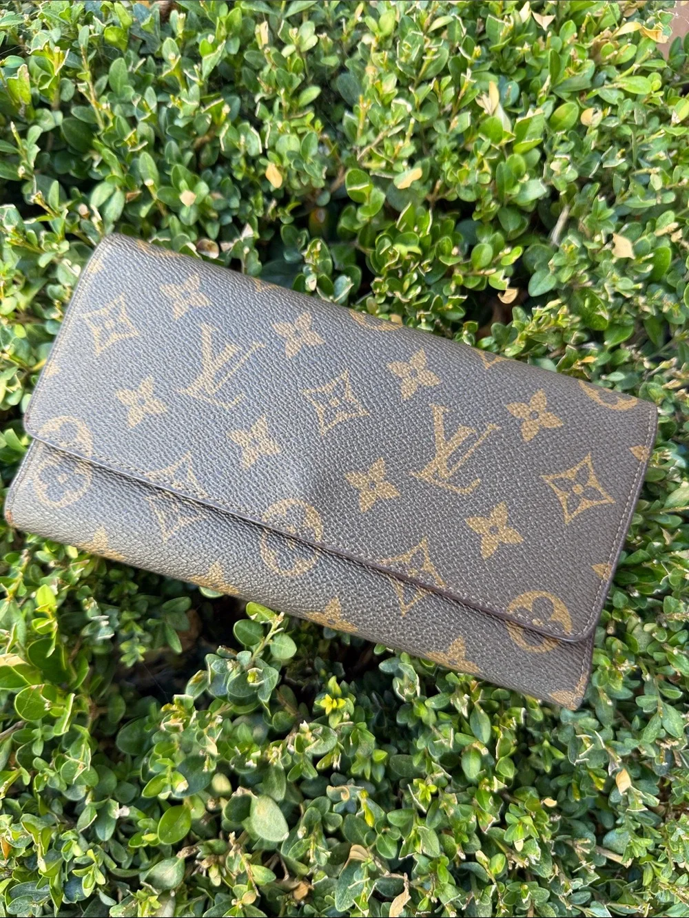 Louis Vuitton classic louis